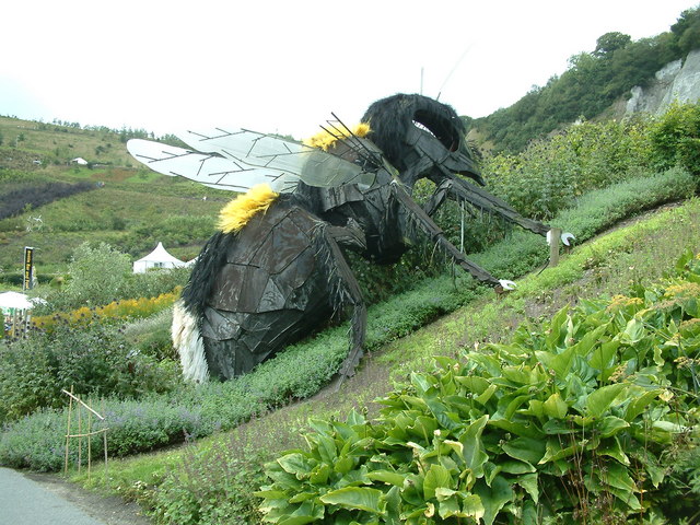 the eden project				